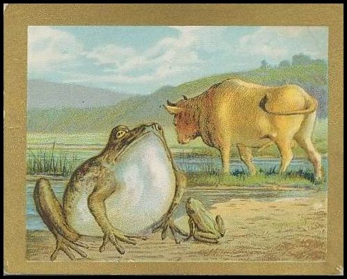 T57 16 The Frog And The Ox.jpg